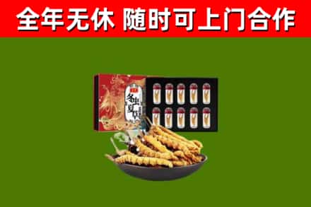 大理回收冬虫夏草价格